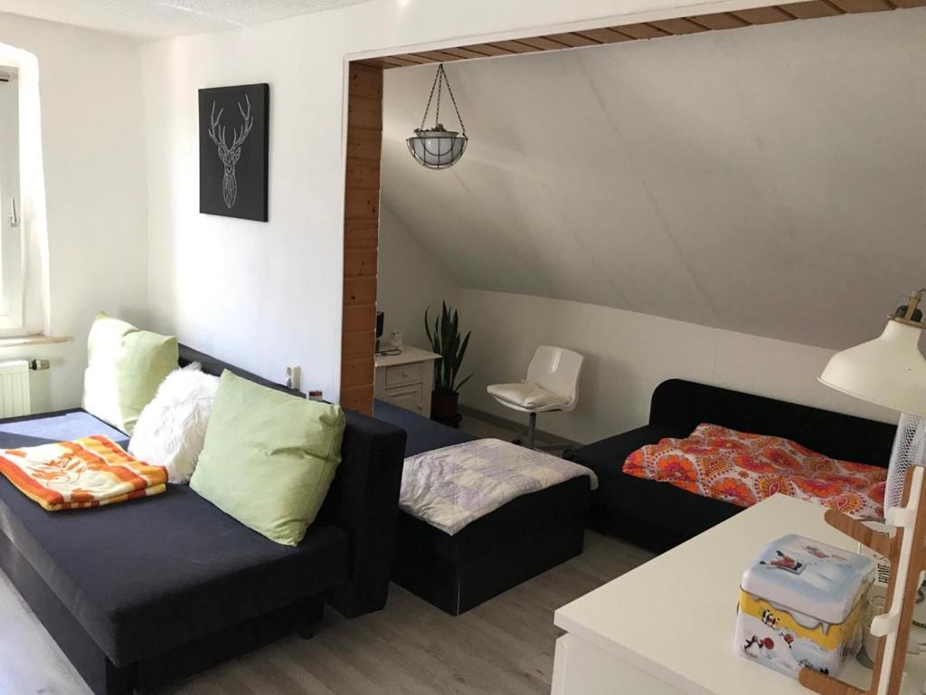 Ferienwohnung Im Einfamilienhaus, Automobil Und Robert Schumann Stadt Zwickau Bagian luar foto